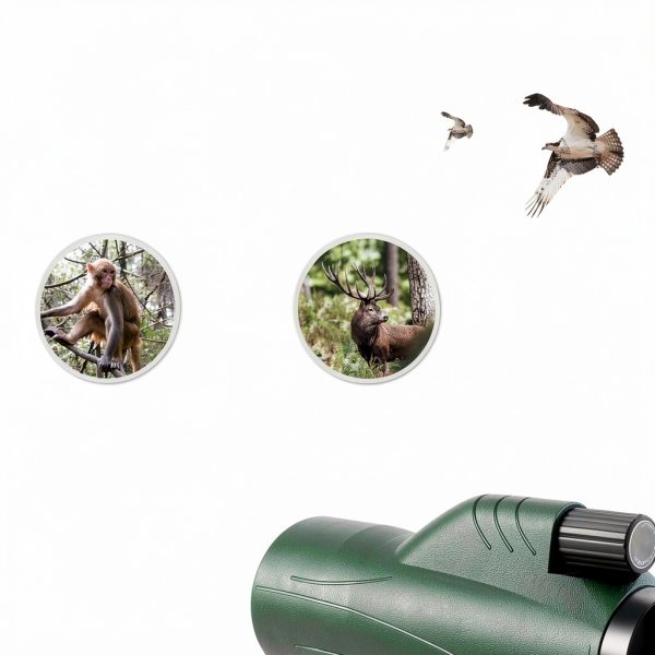OXK Optics 12x56 Monocular Green-1