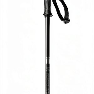 Salomon Ski Poles Arctic Aluminum Blue Unisex-0